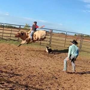 Meet your Posher, Joshua